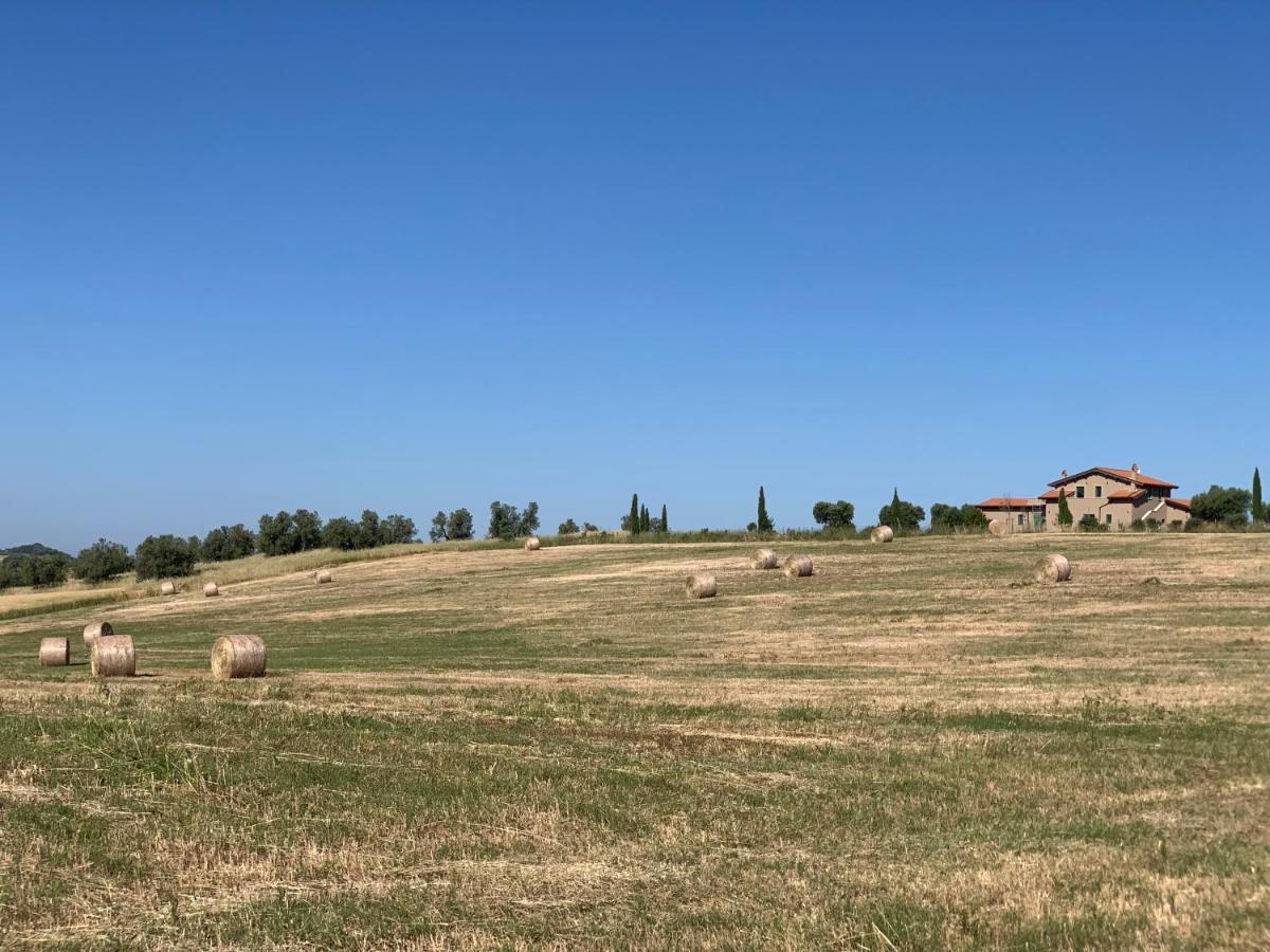 Вилла Il Poggio Di Musignano Musignano  Экстерьер фото